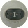 Multi-Function Socket - Standard Ignition S-1091