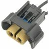 Multi-Function Socket - Intermotor S2611